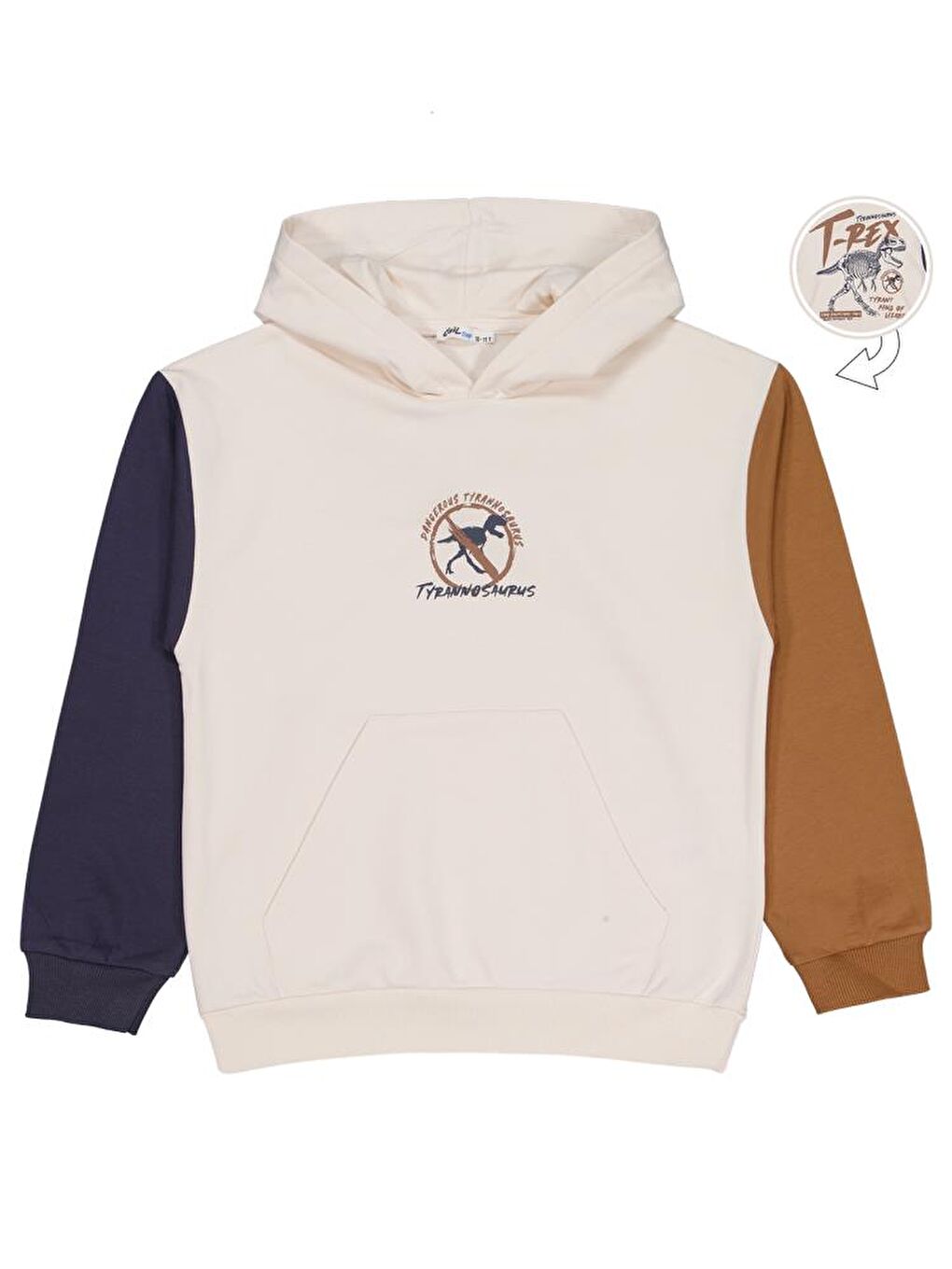 Antrasit Boys T Rex Baskılı Kapüşonlu 10-13 Yaş Sweatshirt-1