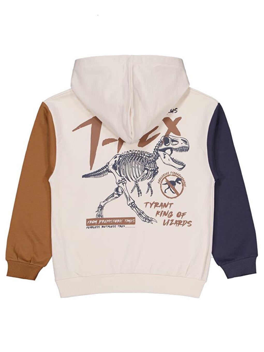 Antrasit Boys T Rex Baskılı Kapüşonlu 10-13 Yaş Sweatshirt