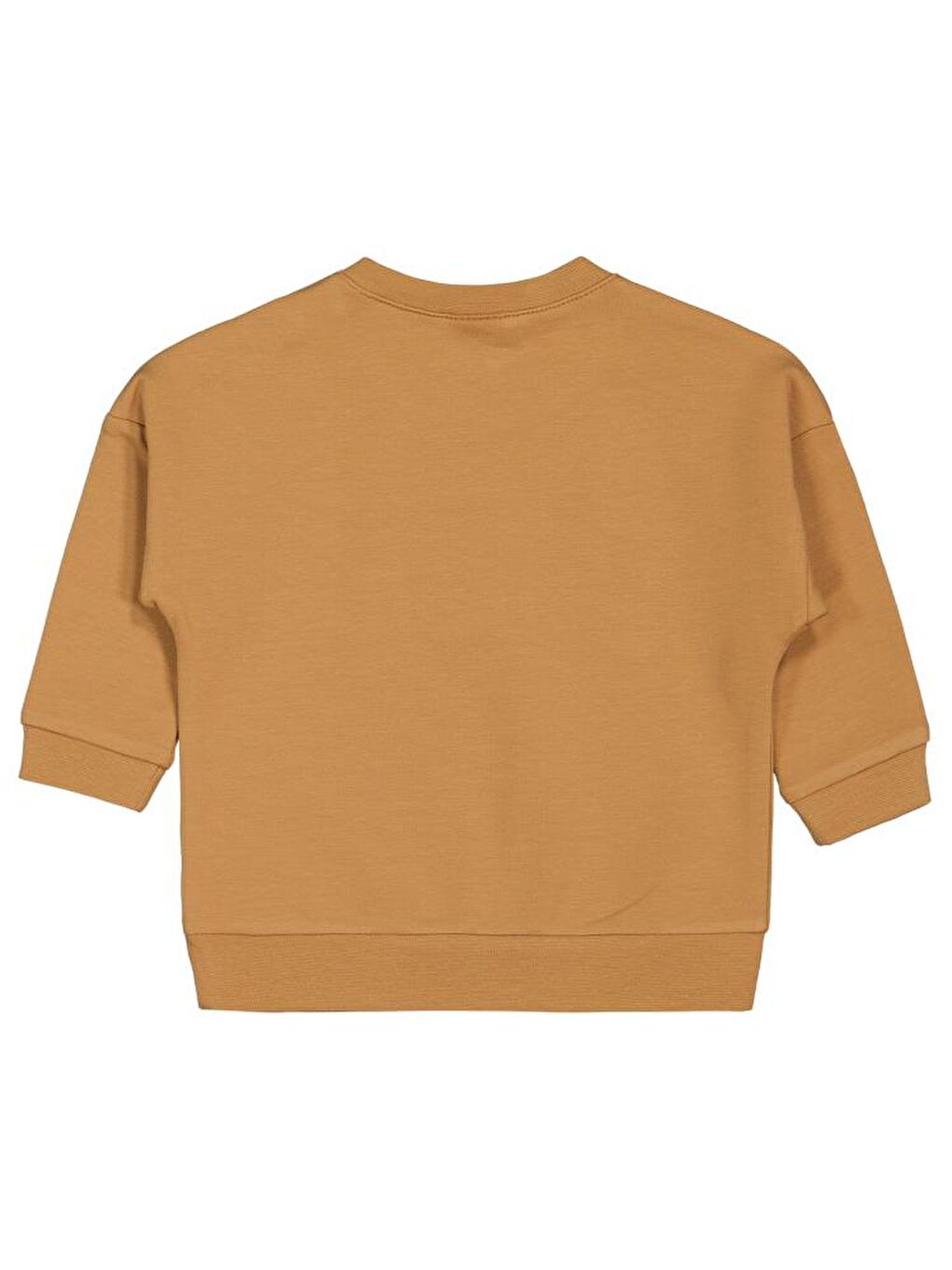 Sarı Baby Teddy Baskılı 6-18 Ay Sweatshirt - Hardal 18-24 Ay-1