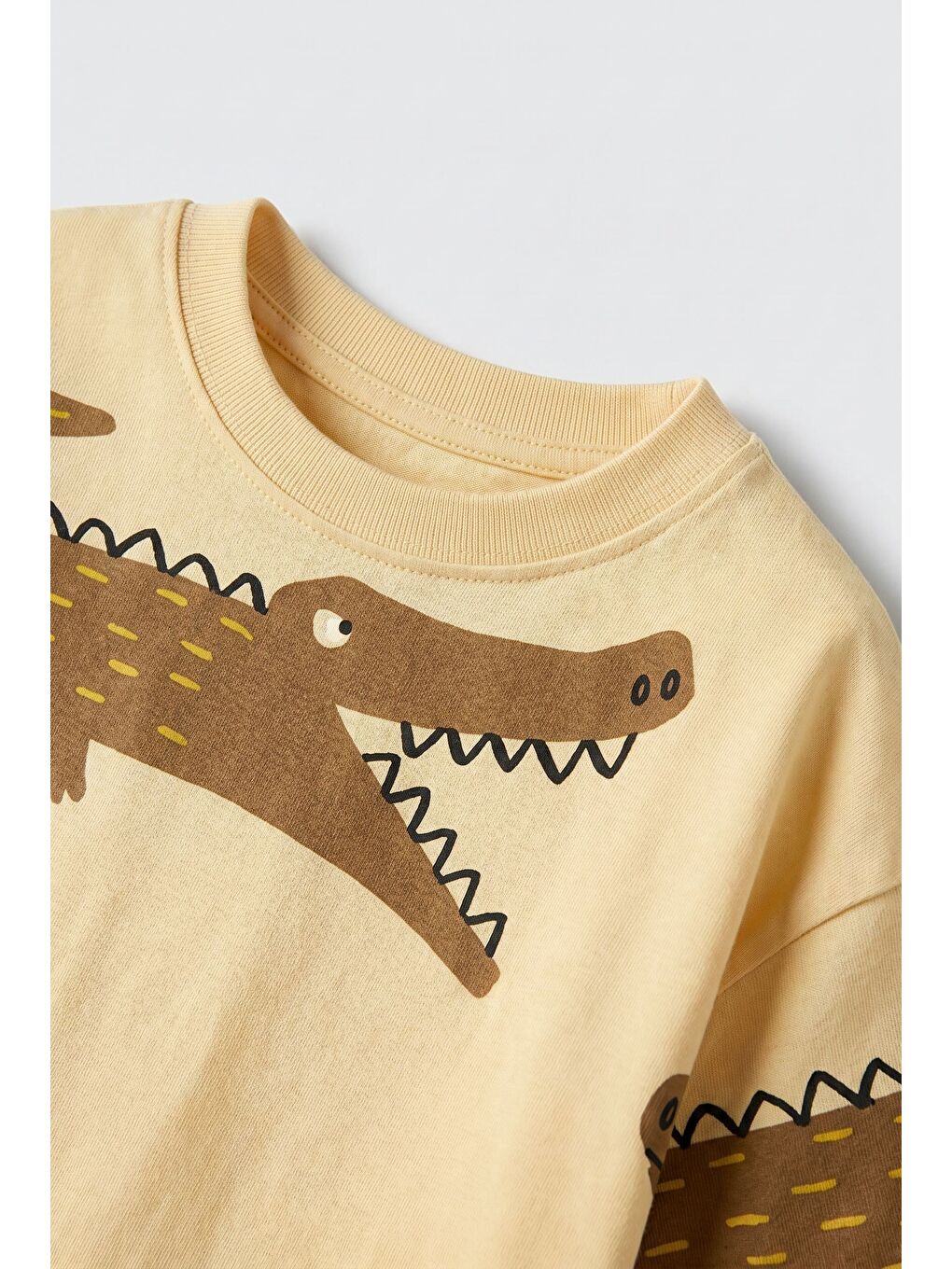 Karışık Erkek Çocuk Pamuklu Timsah Desenli T-Shirt Şort Takım-2