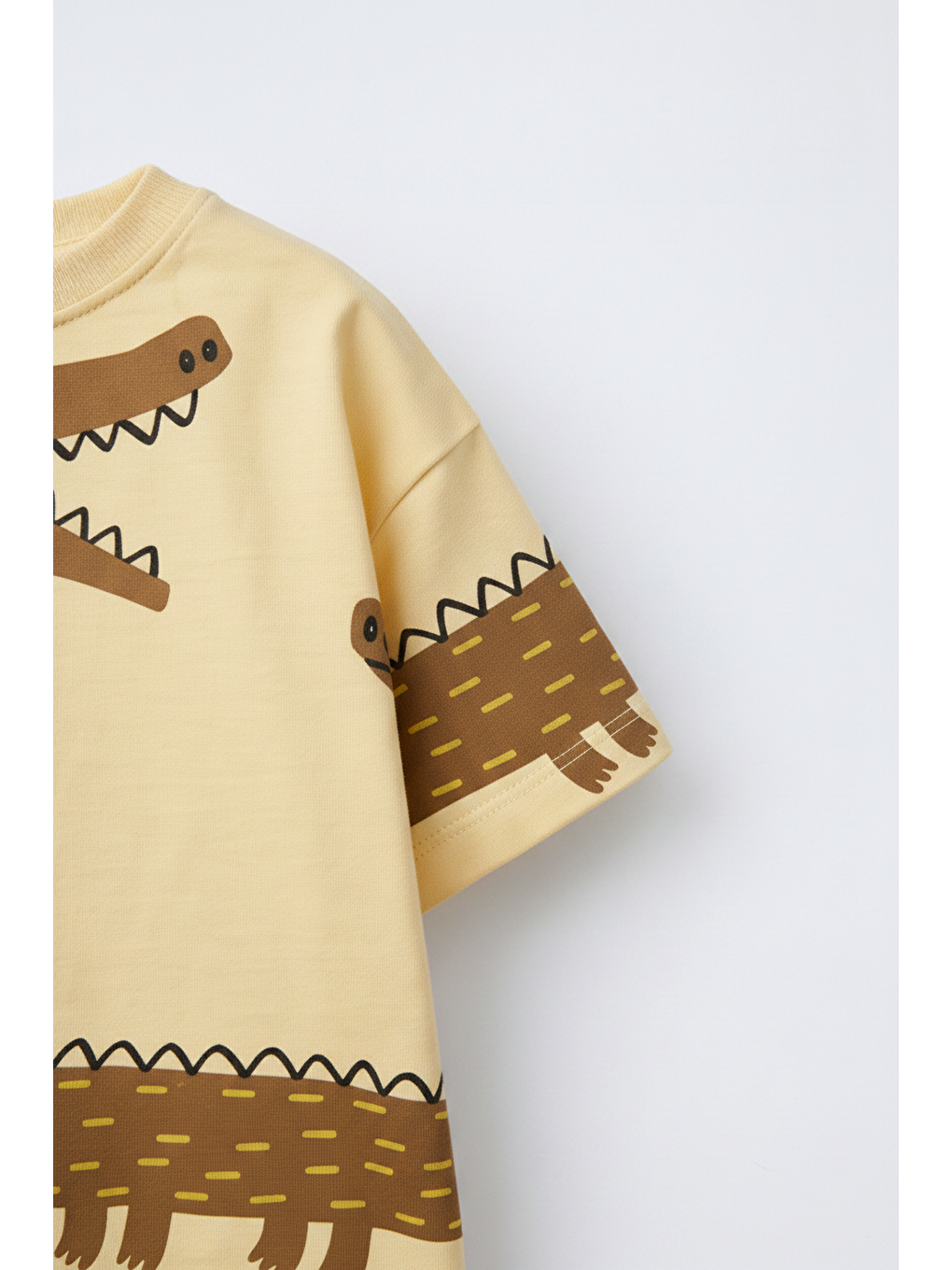 Karışık Erkek Çocuk Pamuklu Timsah Desenli T-Shirt Şort Takım-4