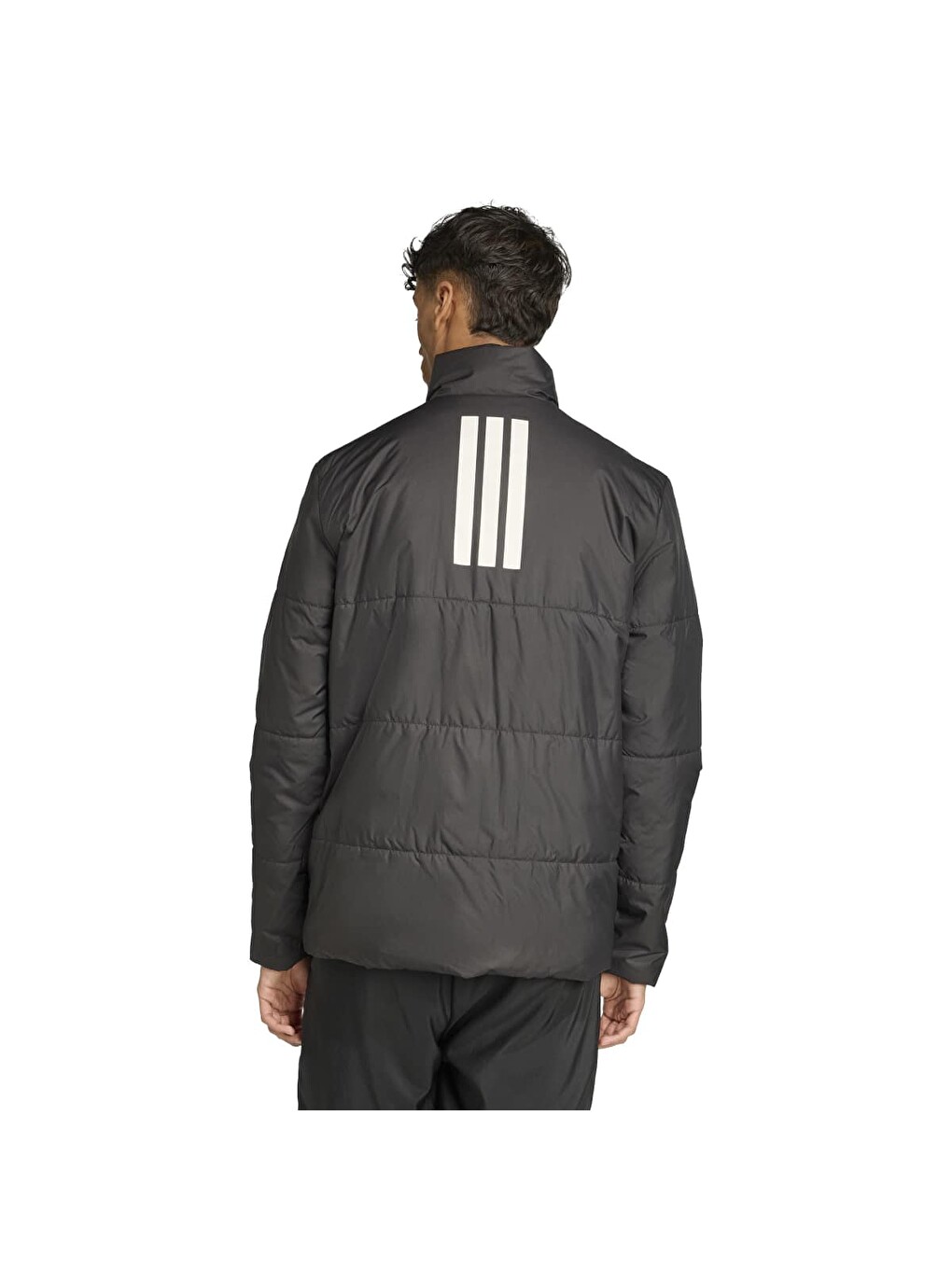 Basic 3 Stripes Insulated Climawarm Erkek Siyah Mont-1
