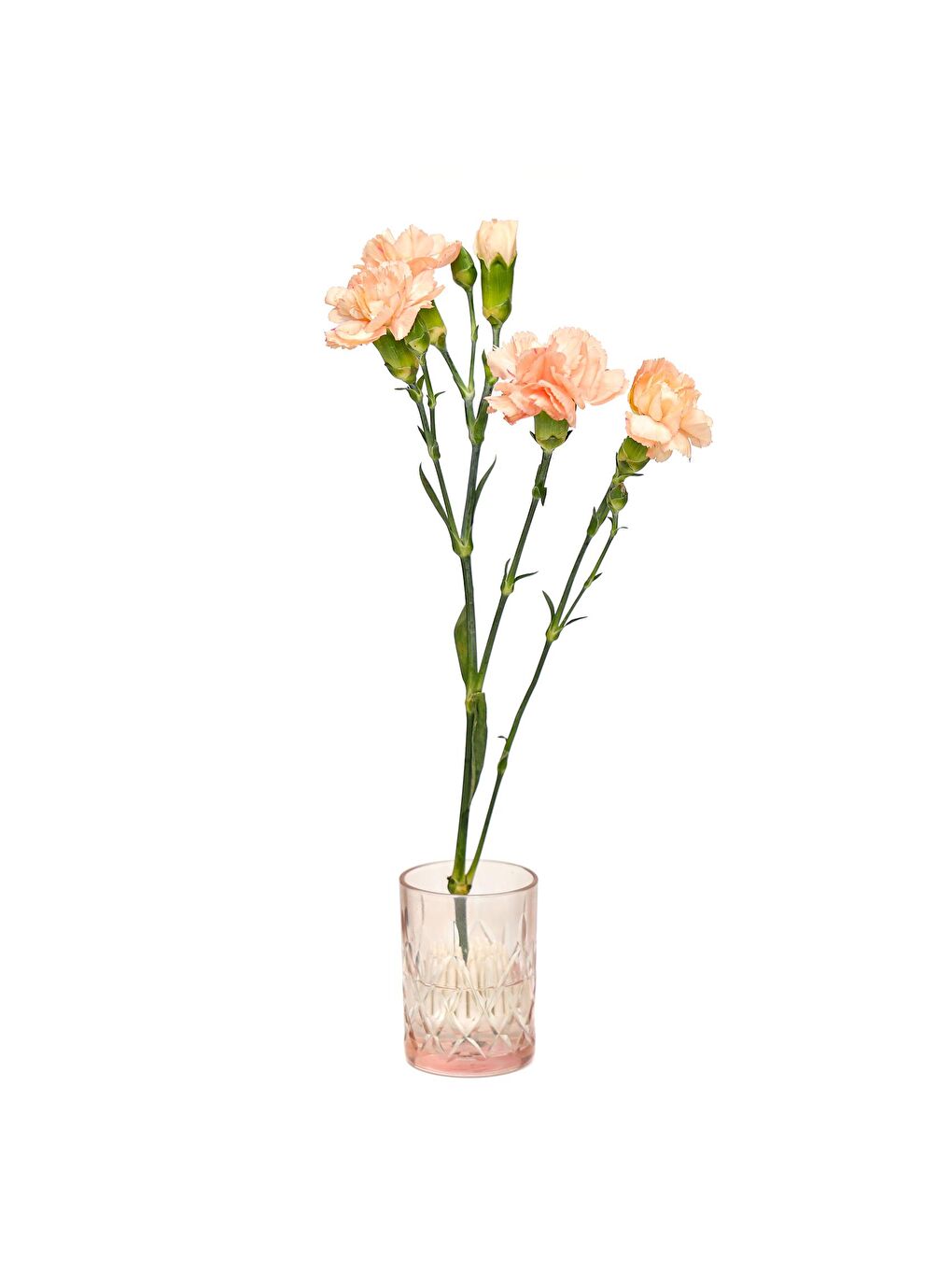 Kahverengi Flora Design-Minimal Pembe Kesme Cam Vazo