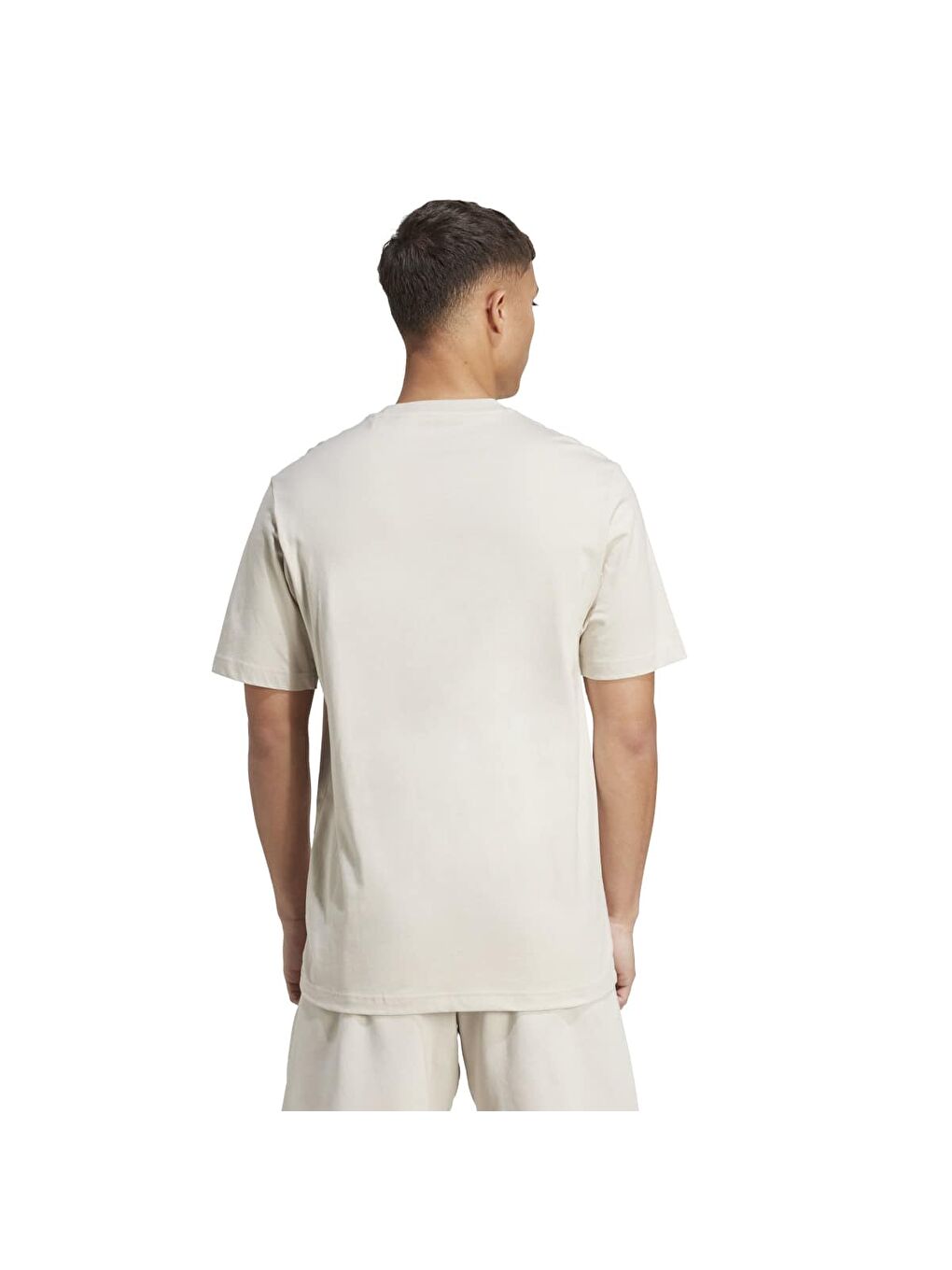 Collegiate Erkek Ekru Bisiklet Yaka Tişört-1