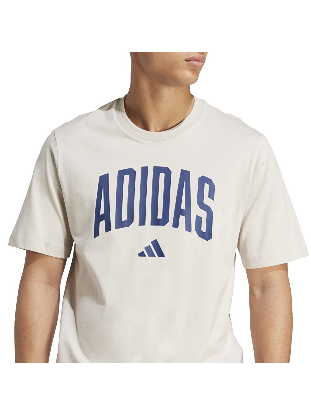 Collegiate Erkek Ekru Bisiklet Yaka Tişört-3