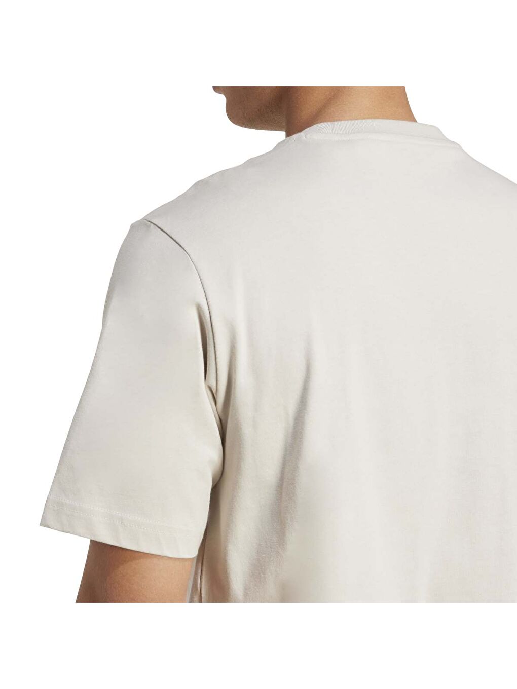 Collegiate Erkek Ekru Bisiklet Yaka Tişört-4