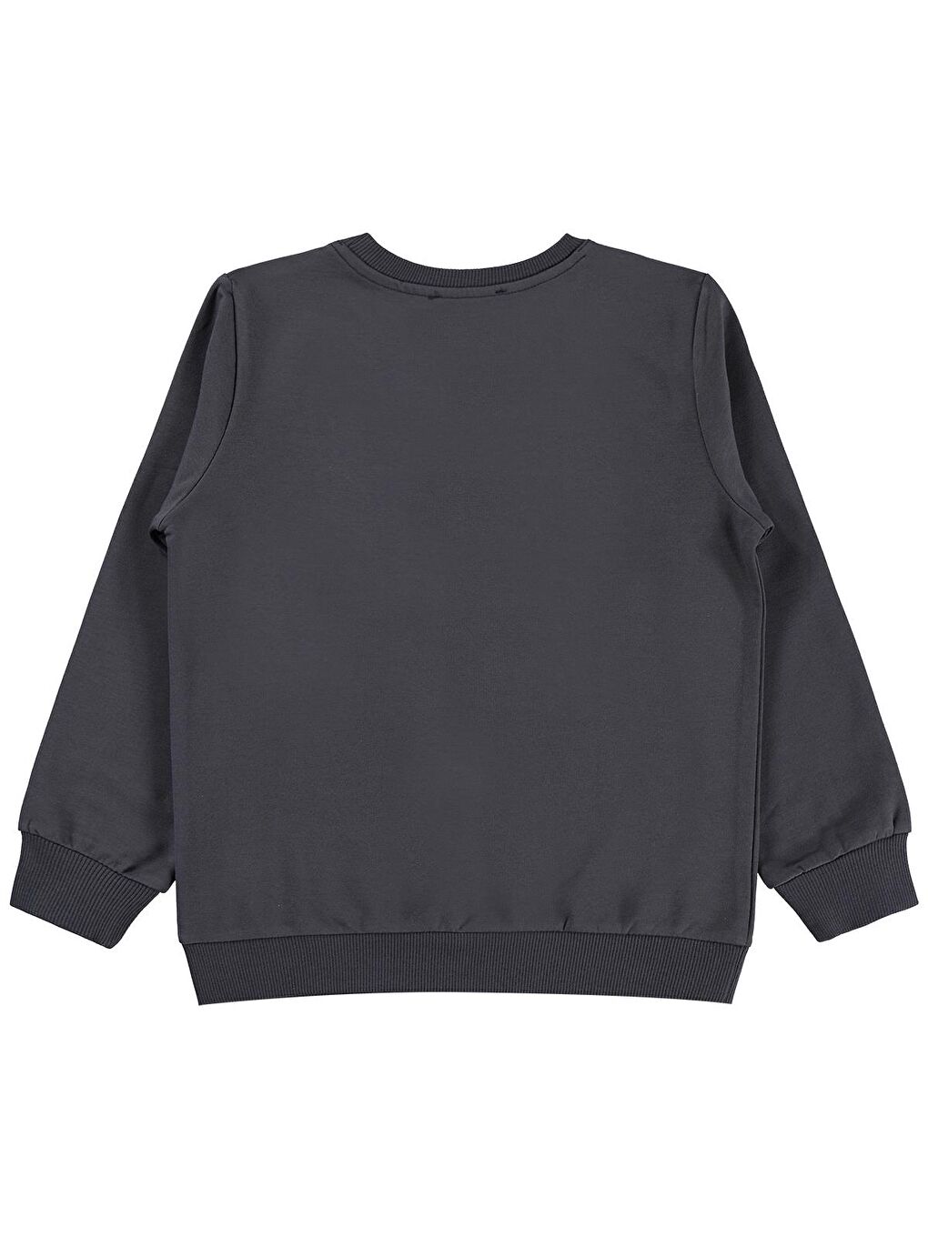 Antrasit Girls 10-13 Yaş Sweatshirt - Gri-1