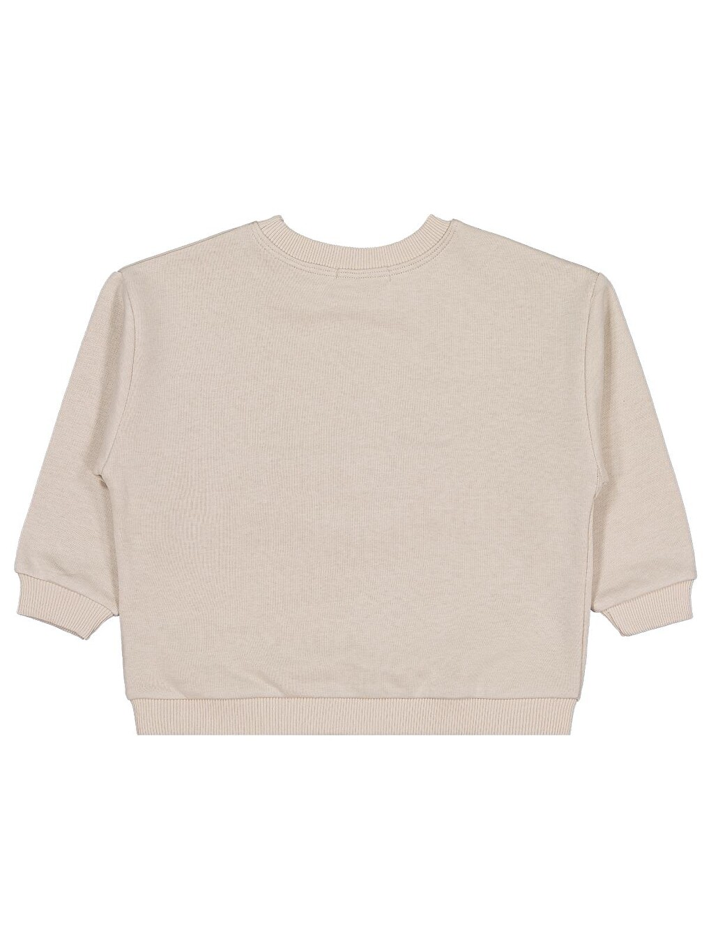 Boys Cep Köpek Nakışlı 2-5 Yaş Sweatshirt - Bej-1
