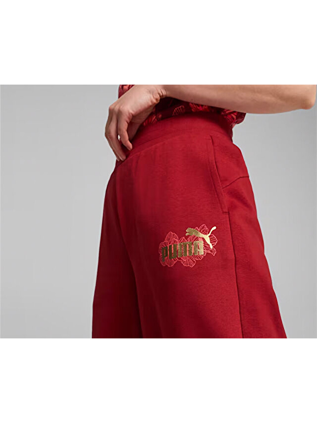 Ess+ Class Act Pants Kadın Günlük Eşofman Altı 68249813 Kırmızı-3