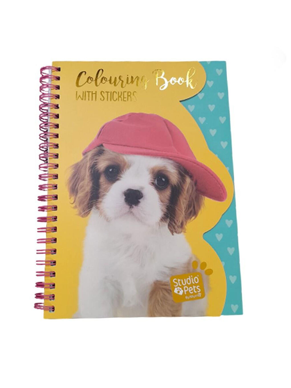 Studio Pets A5 Stickerlı Defter PT-7786-1
