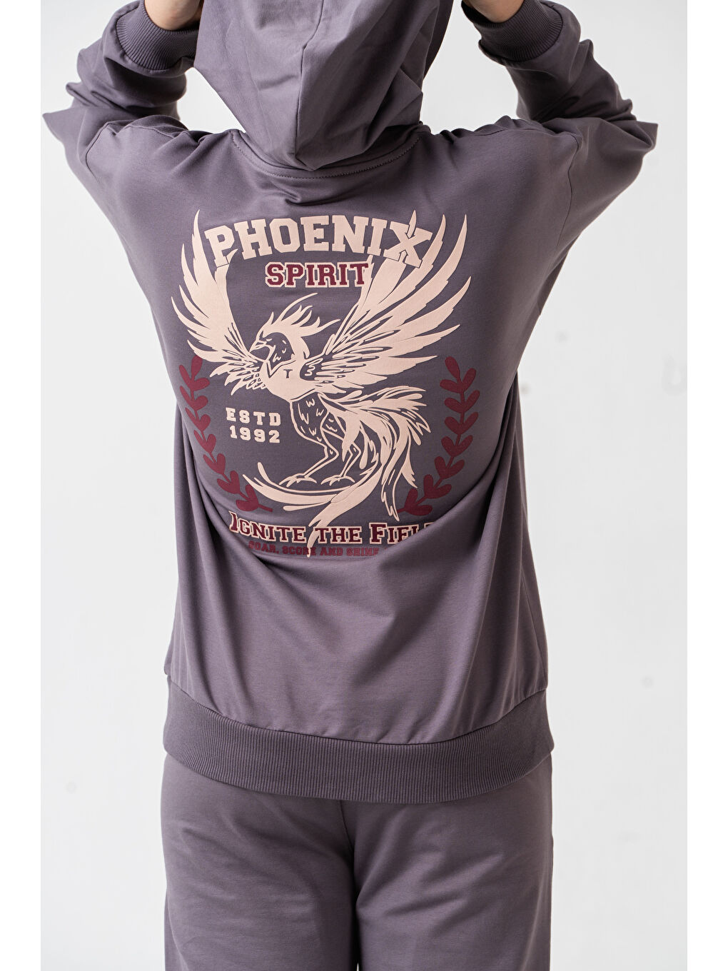 Gri Phoenix Spirit Baskılı Kanguru Cepli Erkek Çocuk Alt Üst Eşofman Takımı-4