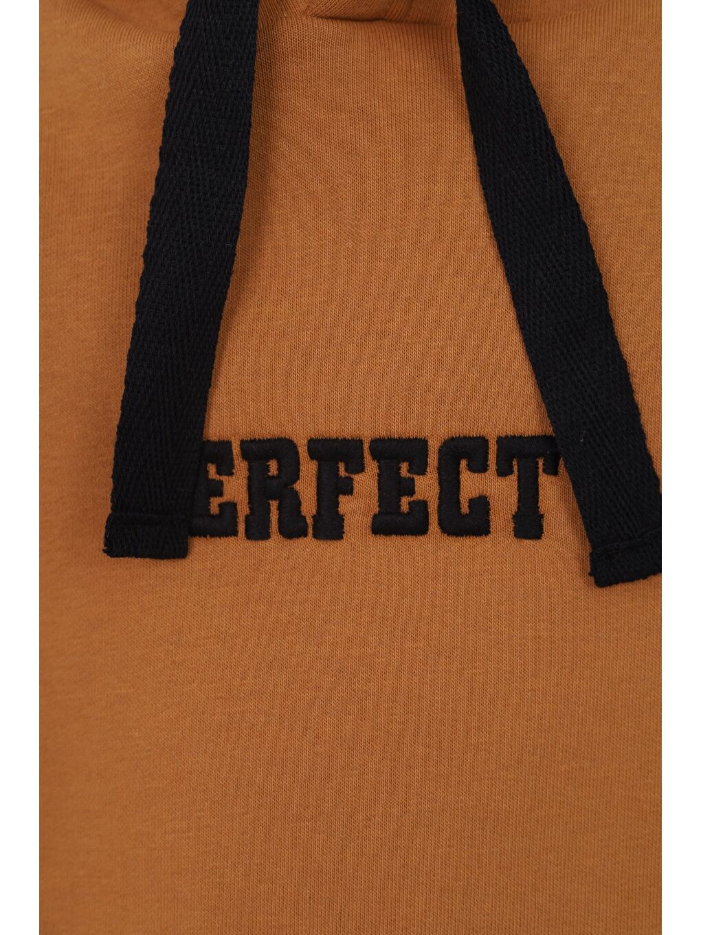 Kahverengi Erkek Çocuk Nakışlı Sweatshirt-2