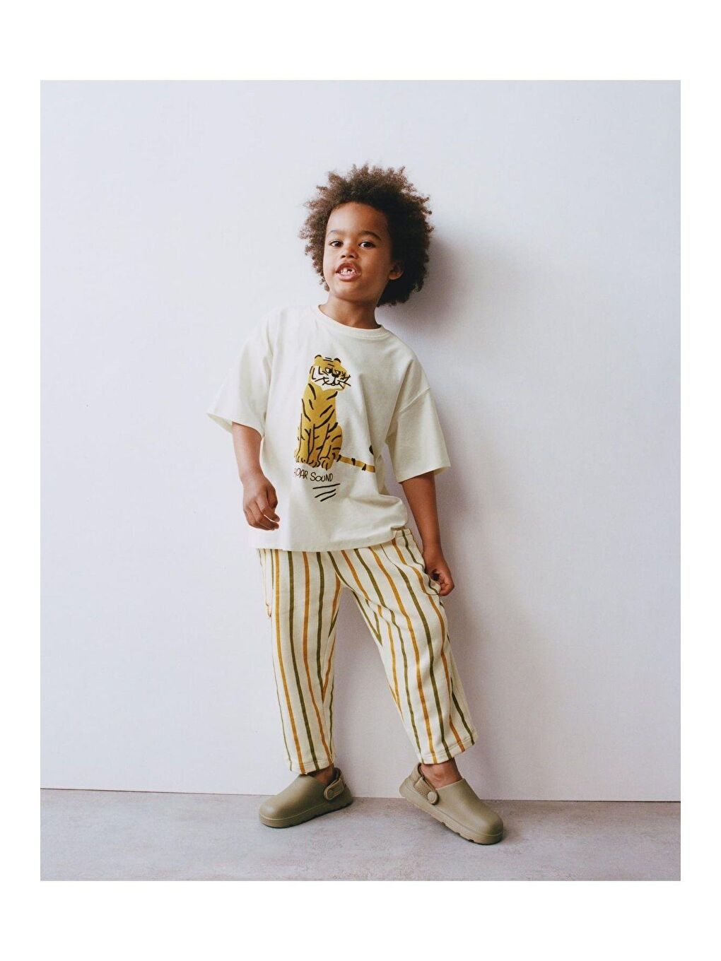 Karışık Erkek Çocuk Aslan Desenli Beyaz Pamuklu T-Shirt Çizgili Eşofman Alt-Üst Takım
