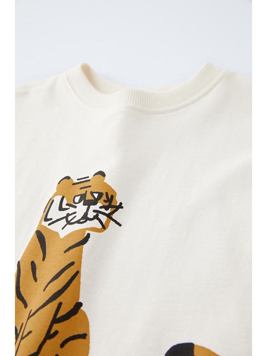 Karışık Erkek Çocuk Aslan Desenli Beyaz Pamuklu T-Shirt Çizgili Eşofman Alt-Üst Takım-2