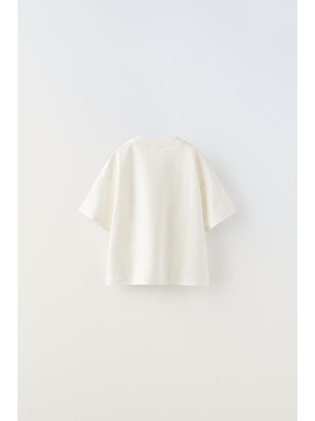 Karışık Erkek Çocuk Aslan Desenli Beyaz Pamuklu T-Shirt Çizgili Eşofman Alt-Üst Takım-4