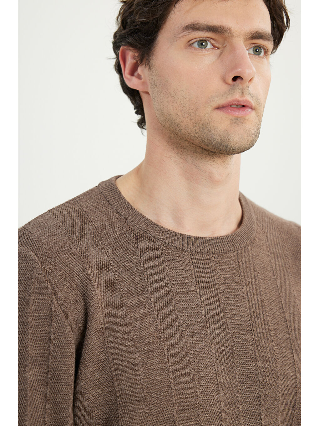Erkek Kahverengi Yün Standart Fit Normal Kesim Bisiklet Yaka Jakarlı Triko Kazak-3