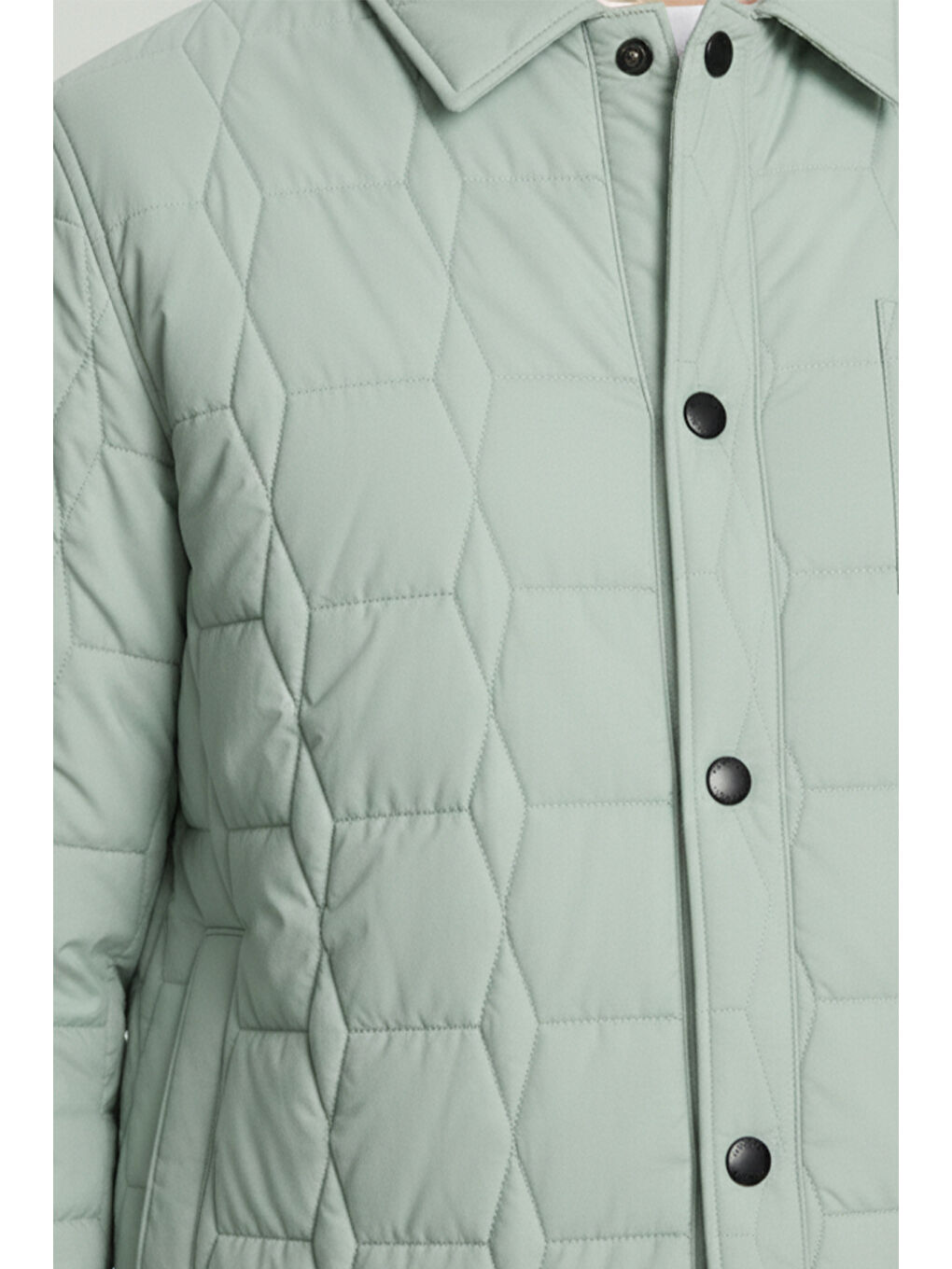 Giotelli Yeşil Regular Fit Gömlek Yaka Desenli Erkek Mont Ceket-8