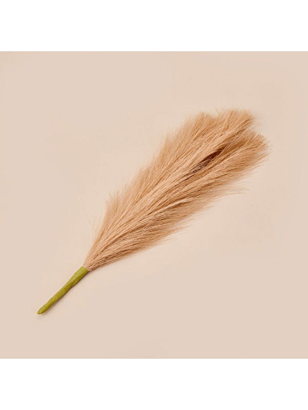 Pembe Dekoratif Tüy - Somon - 44 cm