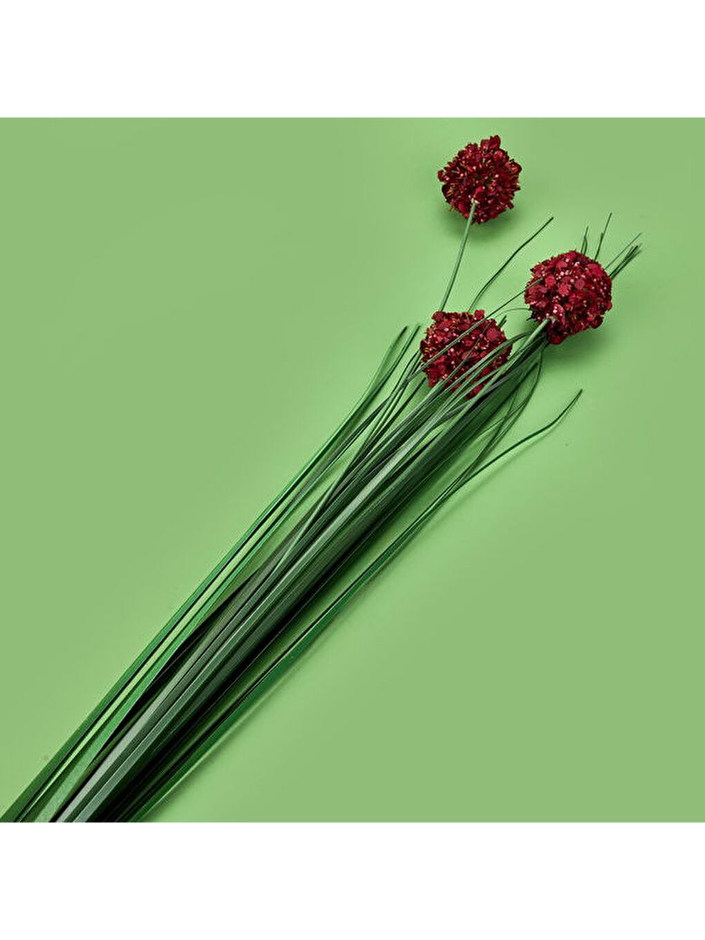 Deco Allium Dal Çiçek - Bordo - 87 cm-1