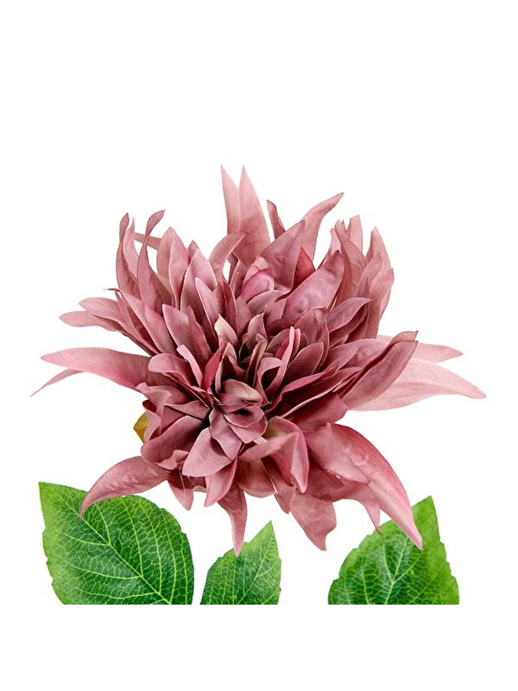 Dekoratif Dahlia Kahverengi Yapay Çiçek - 64 cm-1