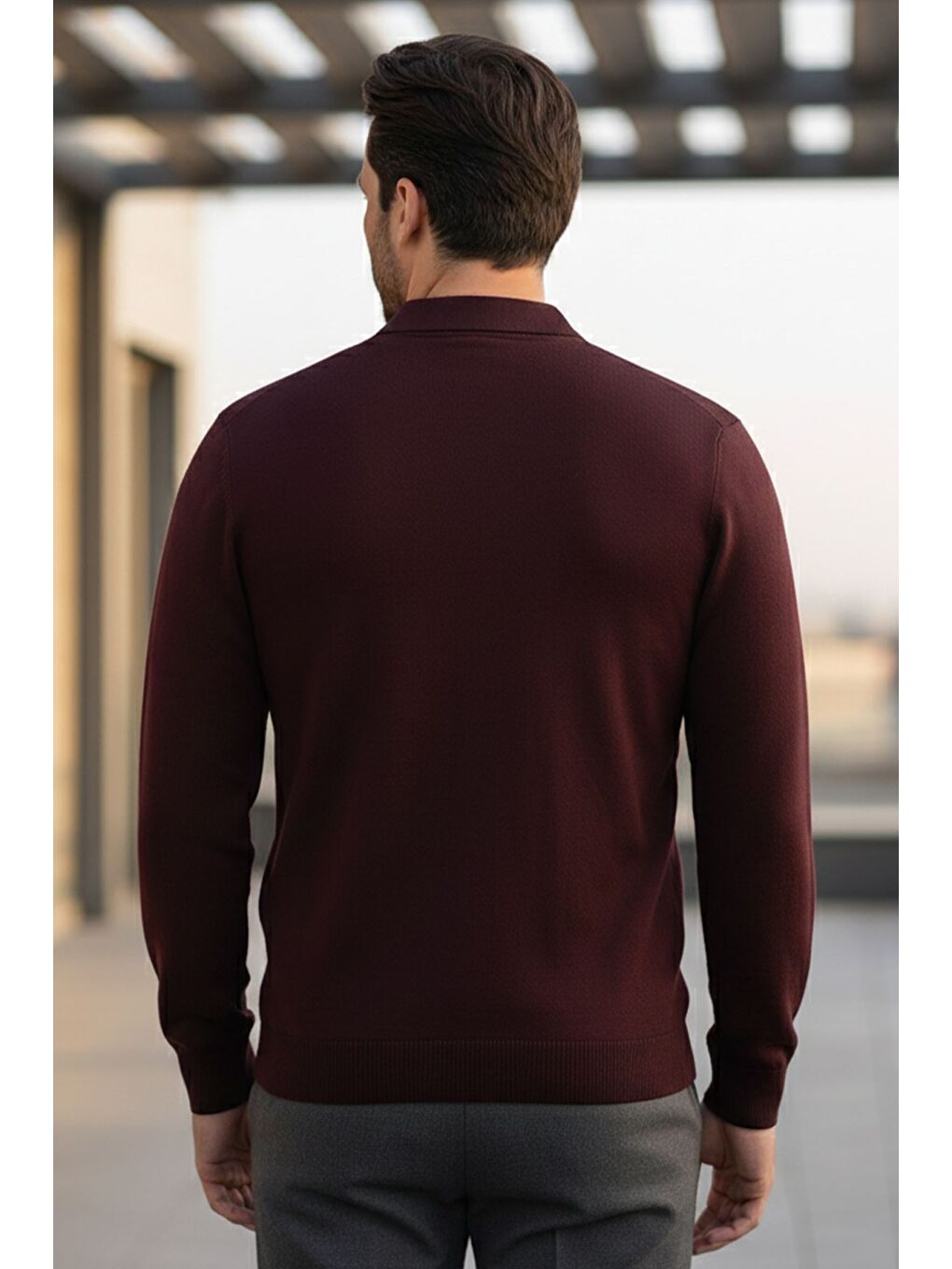 Mürdüm Erkek Kendinden Desenli Polo Yaka Triko Kazak-1