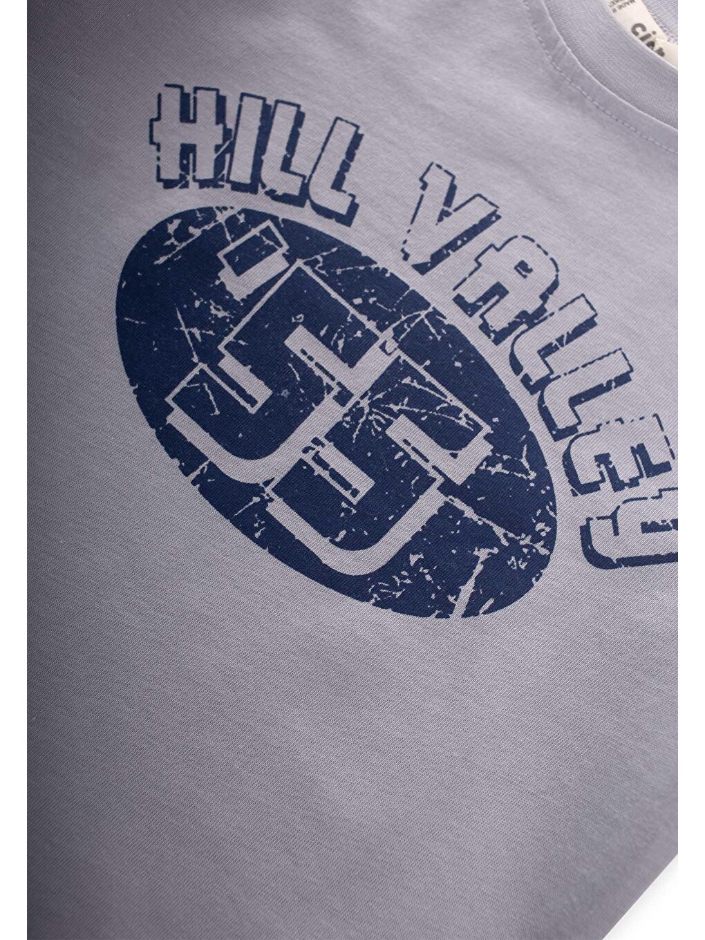 55 Baskılı T-Shırt 2-7 Yaş Gri-2