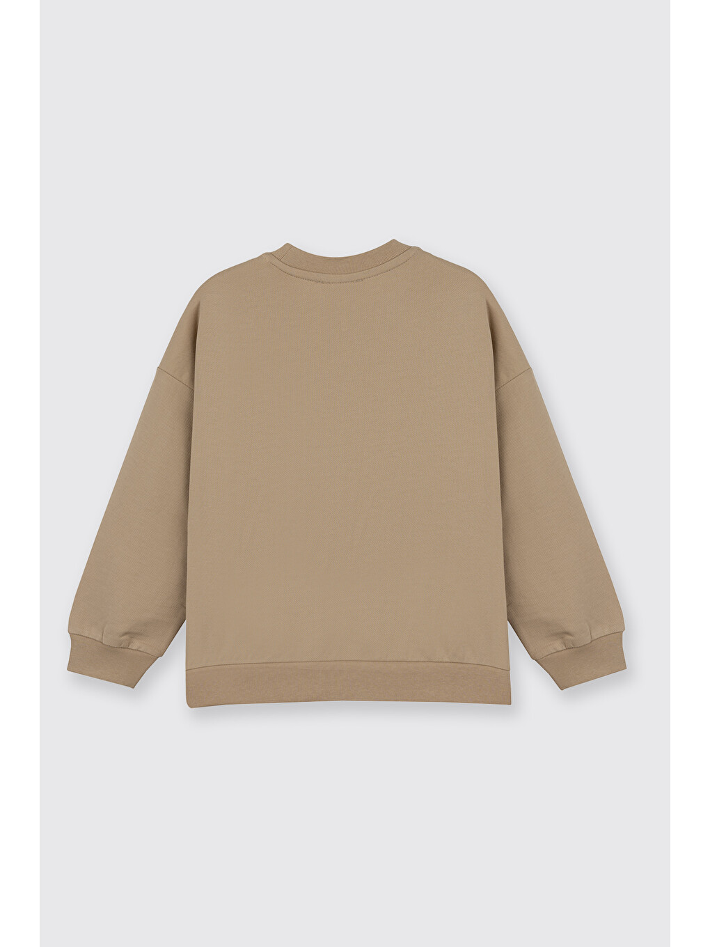 Erkek Çocuk Bej Sweatshirt-2