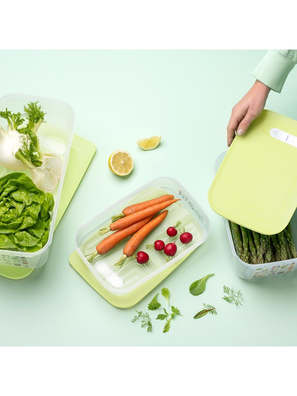 Tupperware Sarı Sera 4.4 Yüksek Gövde Lime - 3