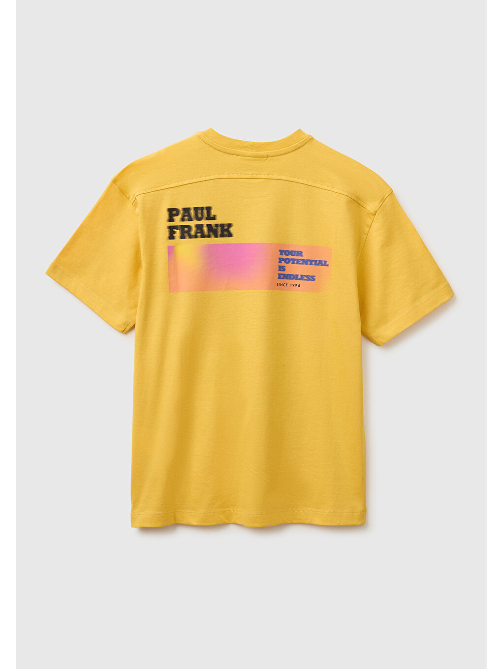 Erkek Çocuk Hardal Sarısı Önü ve Arkası Baskılı Etek Ucu Logolu Bisiklet Yaka T-Shirt-1