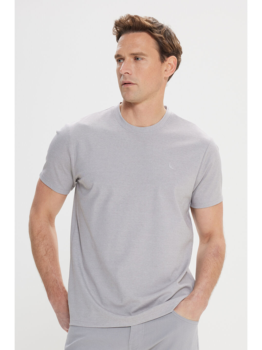 Erkek Gri Slim Fit Dar Kesim Bisiklet Yaka Pamuklu Tişört