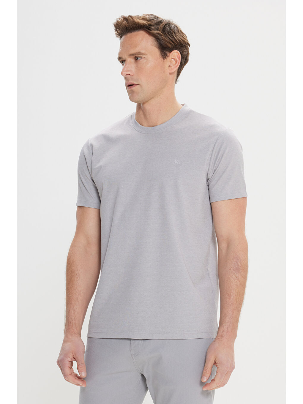 Erkek Gri Slim Fit Dar Kesim Bisiklet Yaka Pamuklu Tişört-2