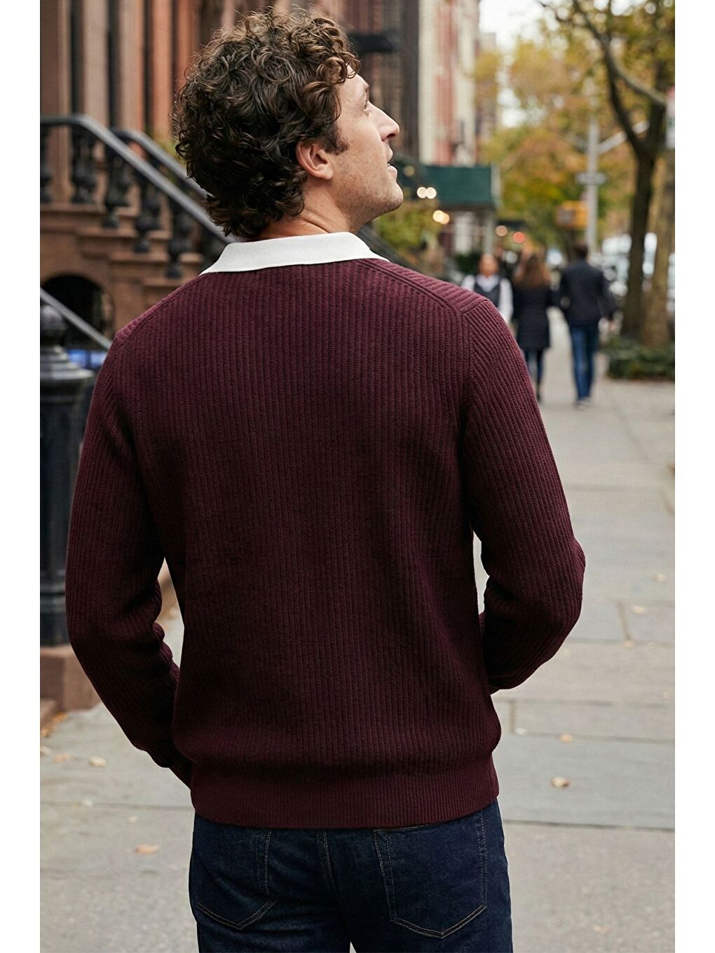 Mürdüm Erkek Kendinden Desenli Polo Yaka Triko Kazak-1