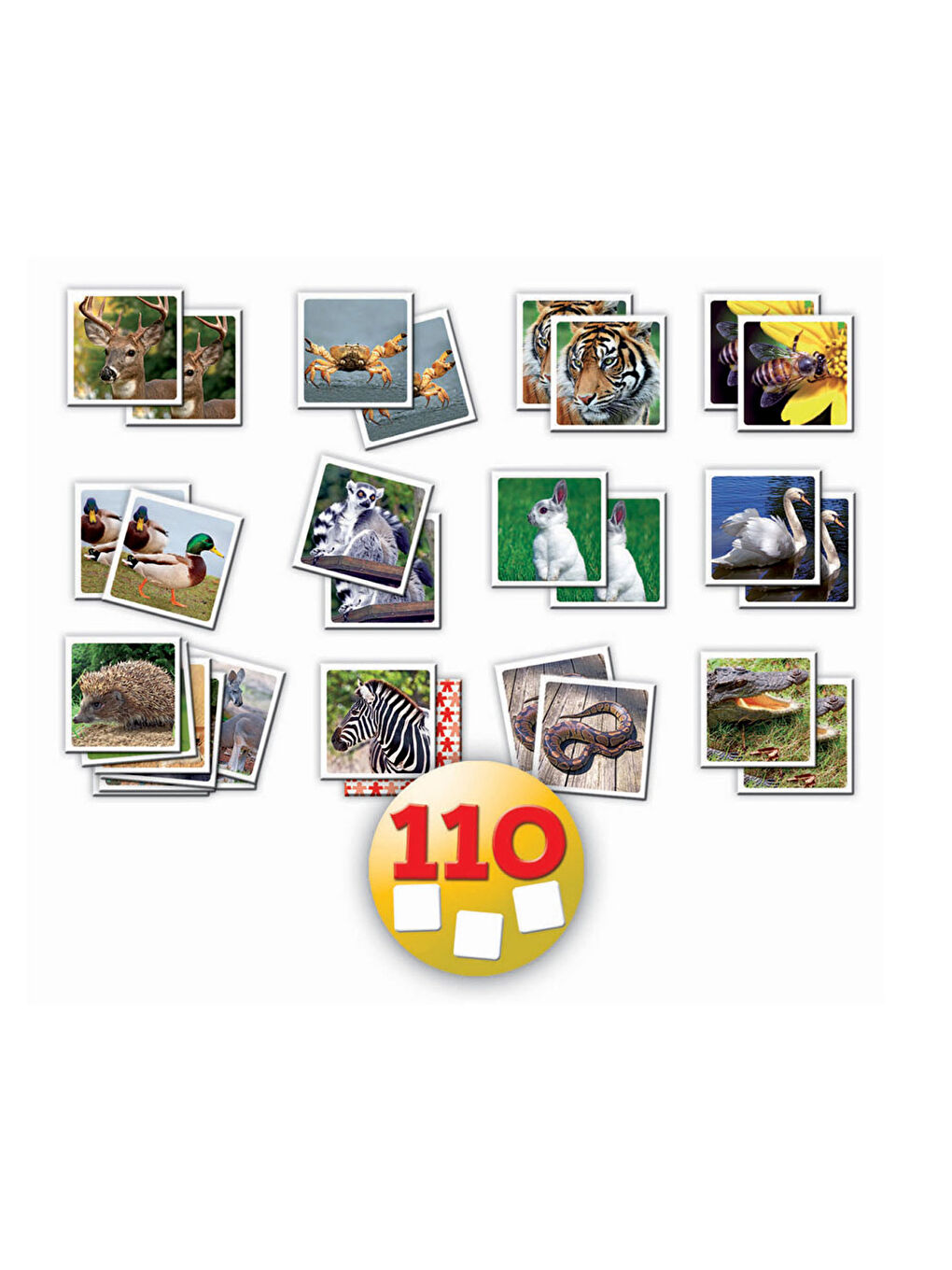 Identic Memory Doğal Yaşam Hafıza Oyunu 14783-1