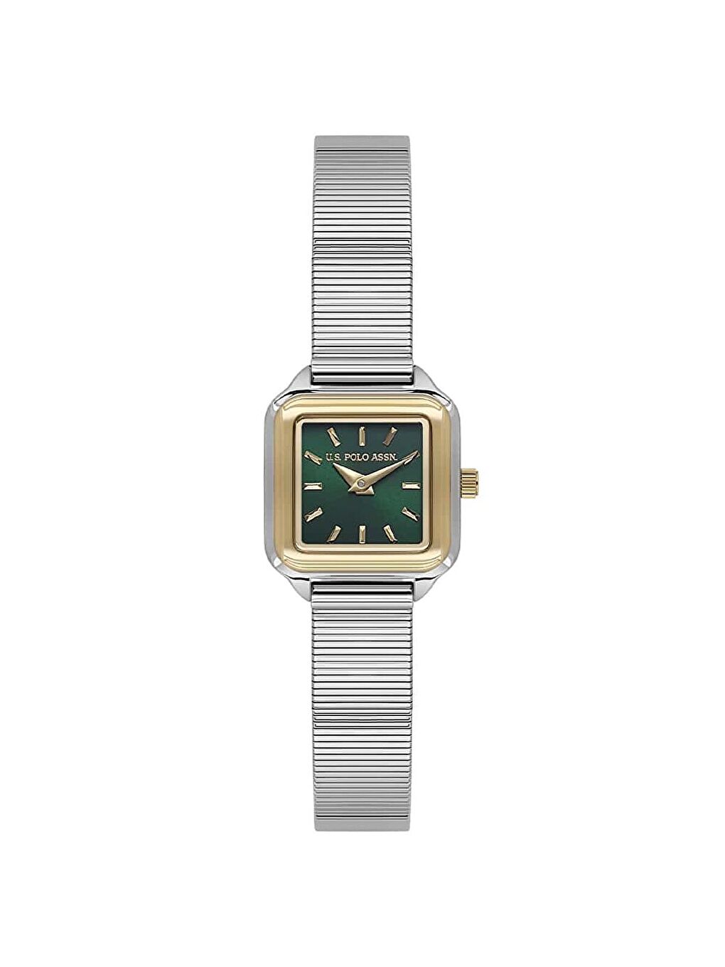 Gri USPA2145-02 Kadın Kol Saati