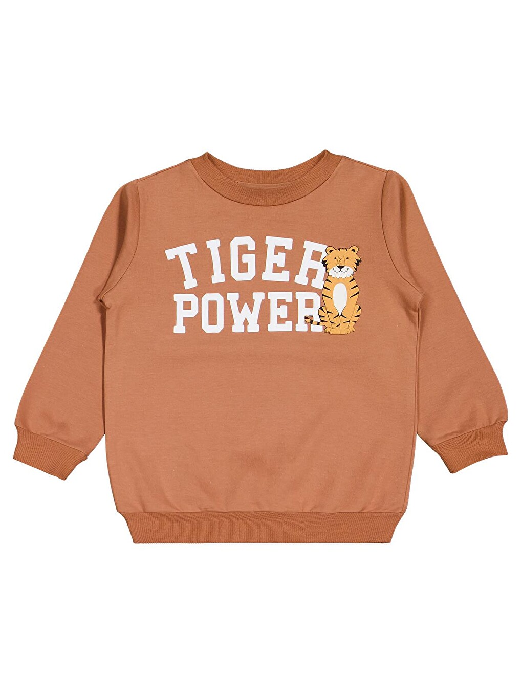 Beyaz Boys Safari Baskılı 3'lü Set 2-5 Yaş Sweatshirt - Standart-2