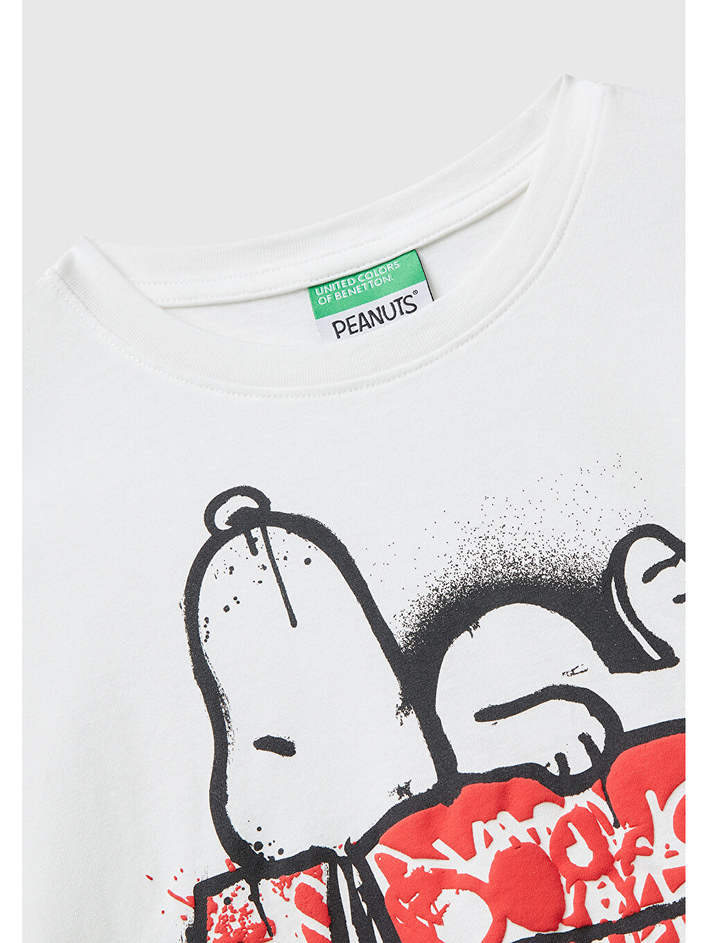 Erkek Çocuk Ekru Çok Renkli Peanuts Baskılı Kolu Logo Etiketli Comfort Fit T-shirt-2