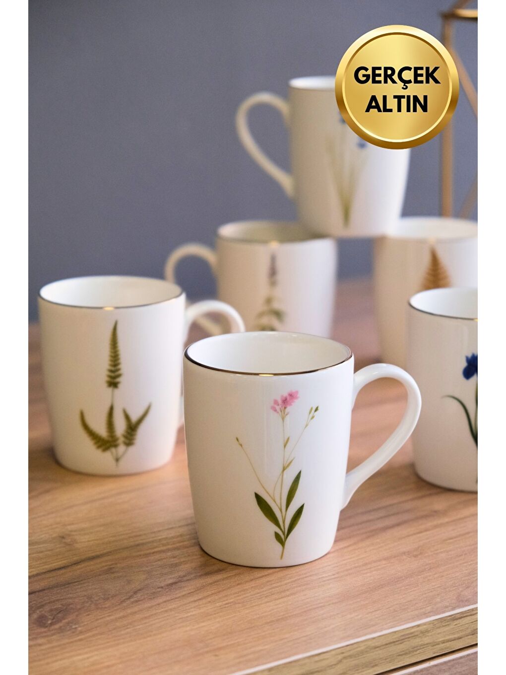 Karışık Porselen Natura Karma Kulplu Mug Kupa 9cm 220ml 6 lı-2