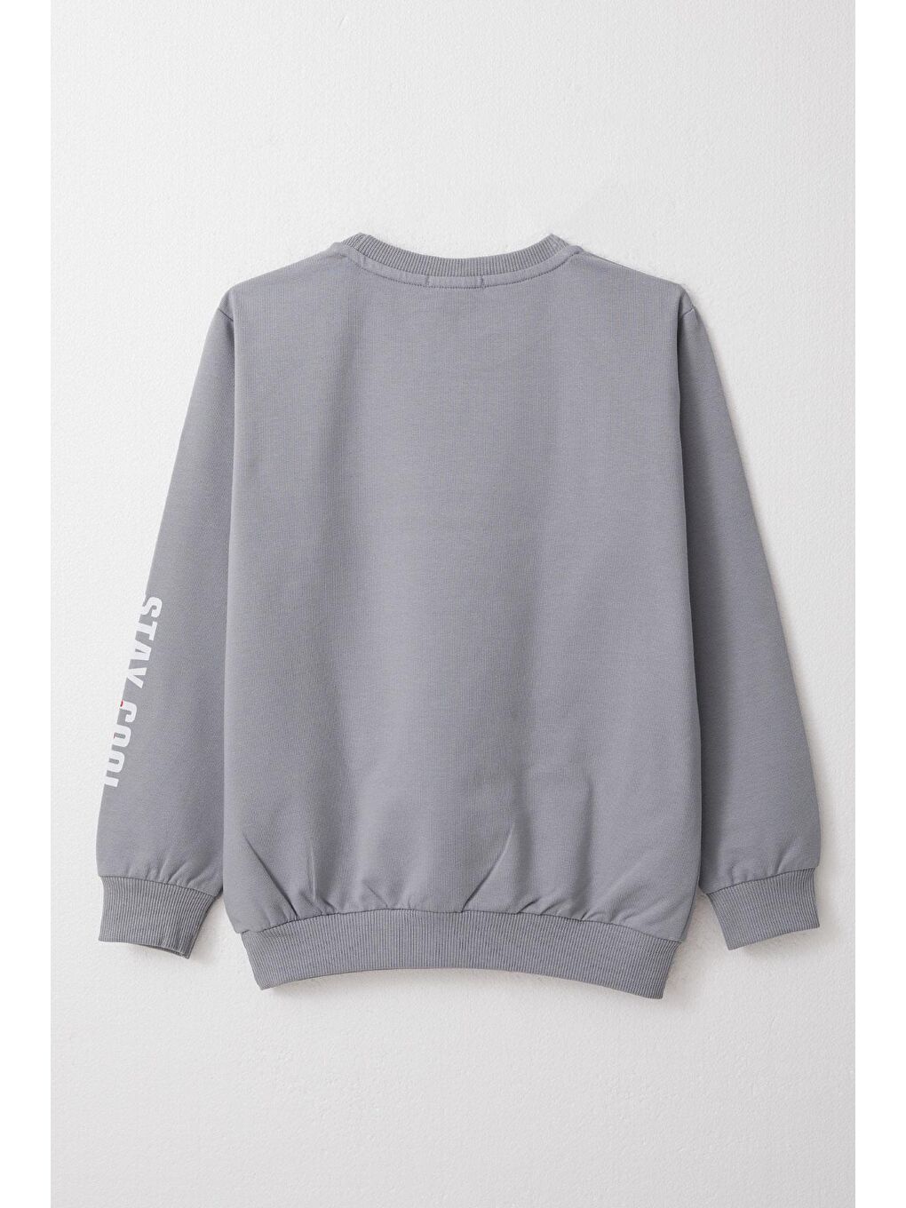 Breeze Gri Erkek Çocuk Sweatshirt Motivasyon Temalı Gri (8-12 Yaş) - 1