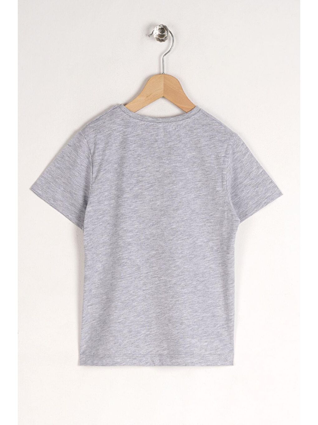 Bisiklet Yaka Kısa Kol Ayı Baskılı Gri Renk Erkek Çocuk Tshirt-3