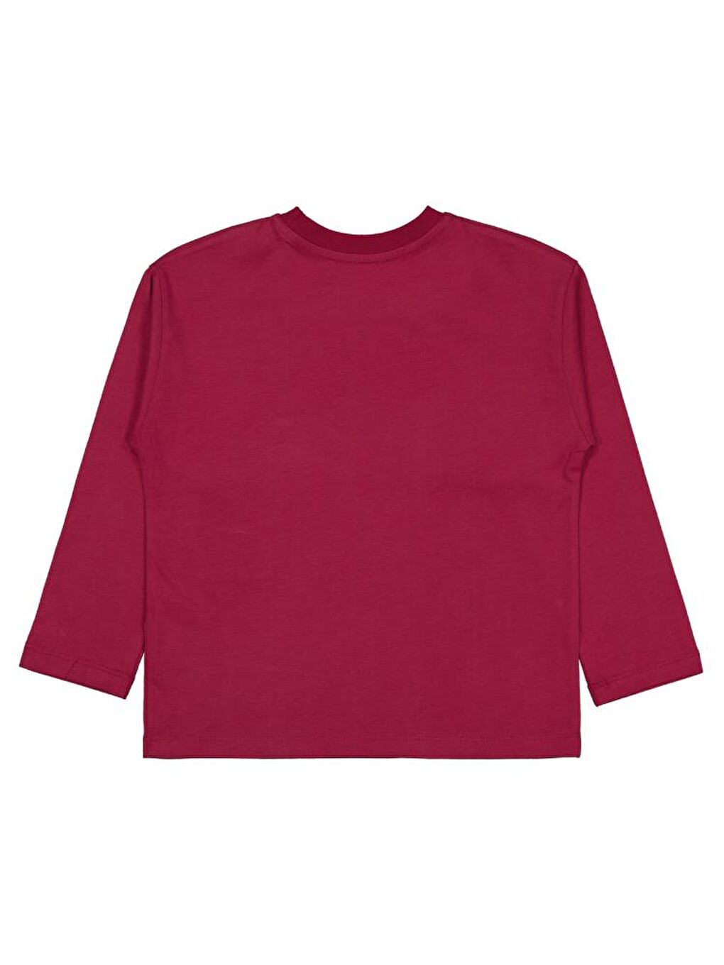Boys Tiger Baskılı - Etiketli 10-13 Yaş Sweatshirt - Bordo 11-12 Yaş-1