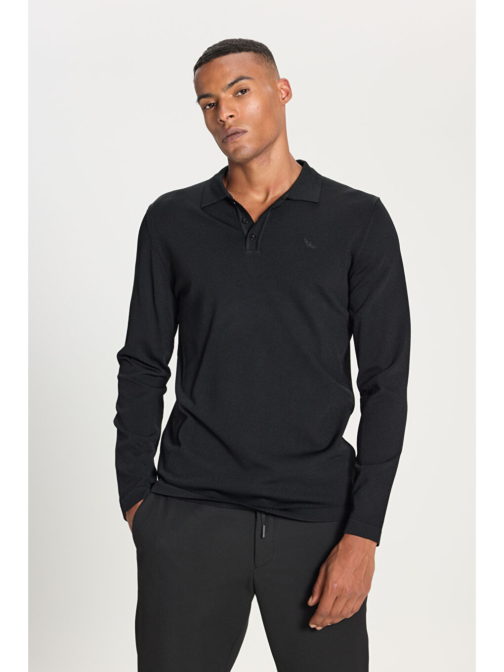 Erkek Siyah Standart Fit Normal Kesim Polo Yaka Basic Triko Kazak