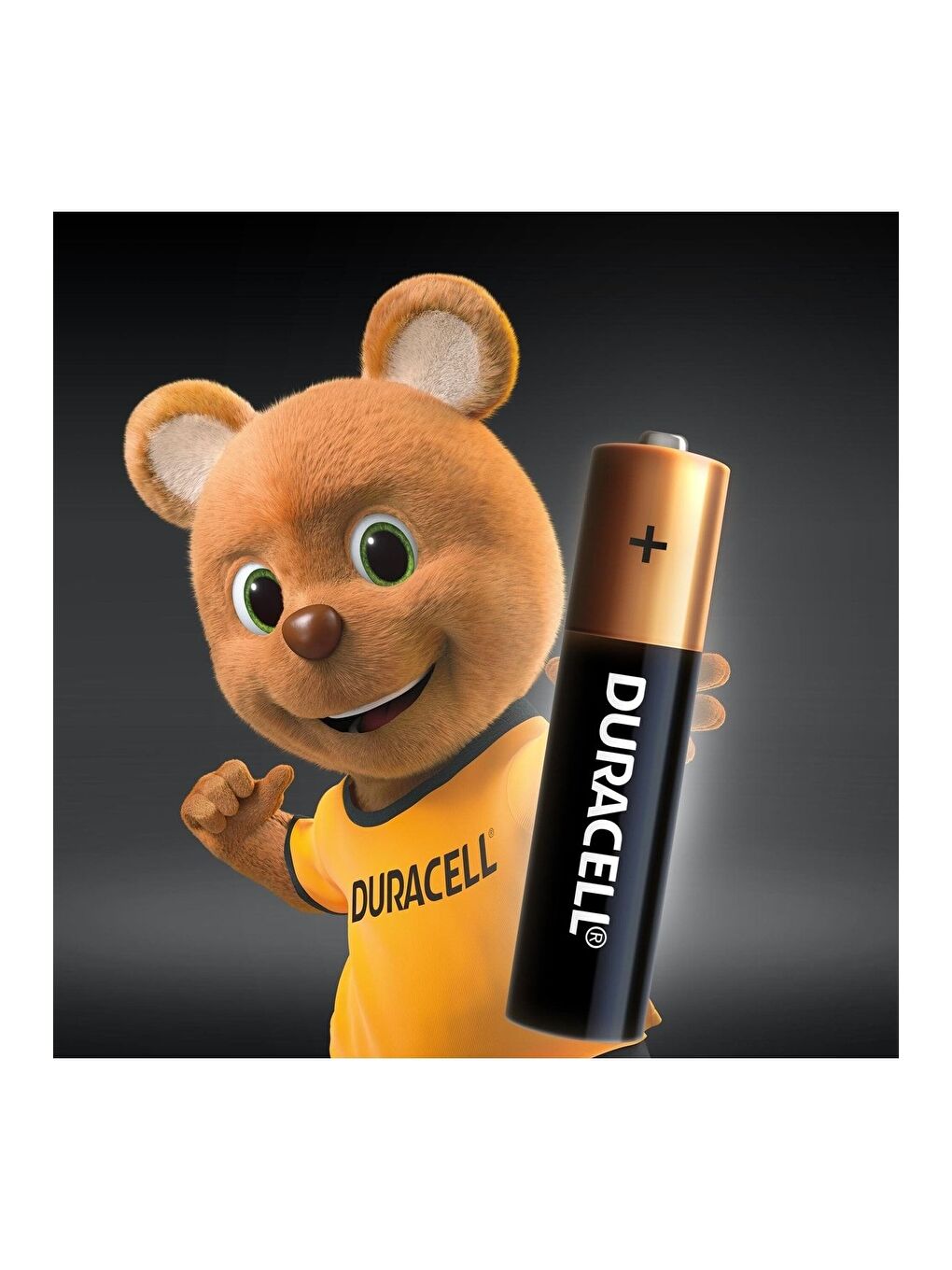 6 lı Alkalin Aa Ve Aaa Avantaj Paketi-1