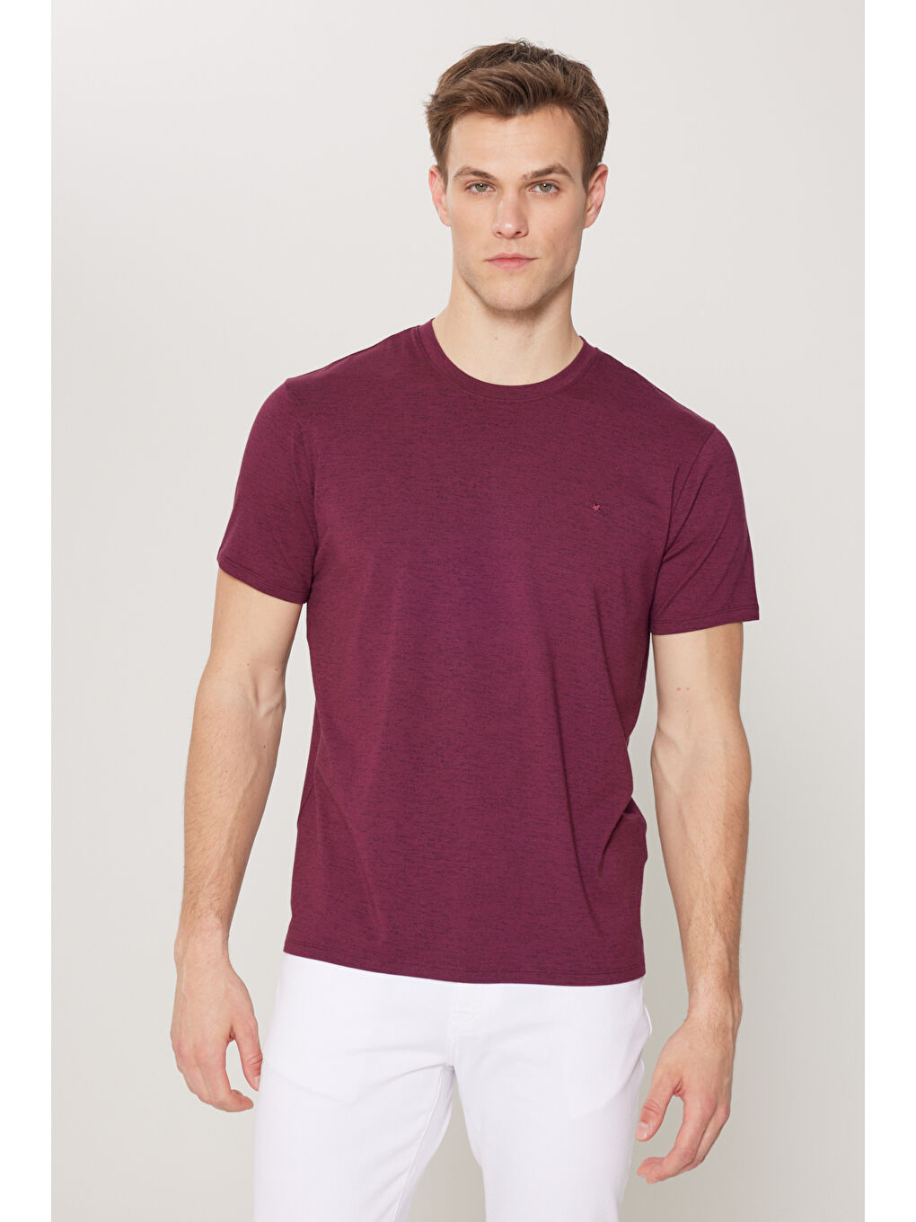 Erkek Bordo Slim Fit Dar Kesim Bisiklet Yaka Pamuklu Kısa Kollu Tişört-2