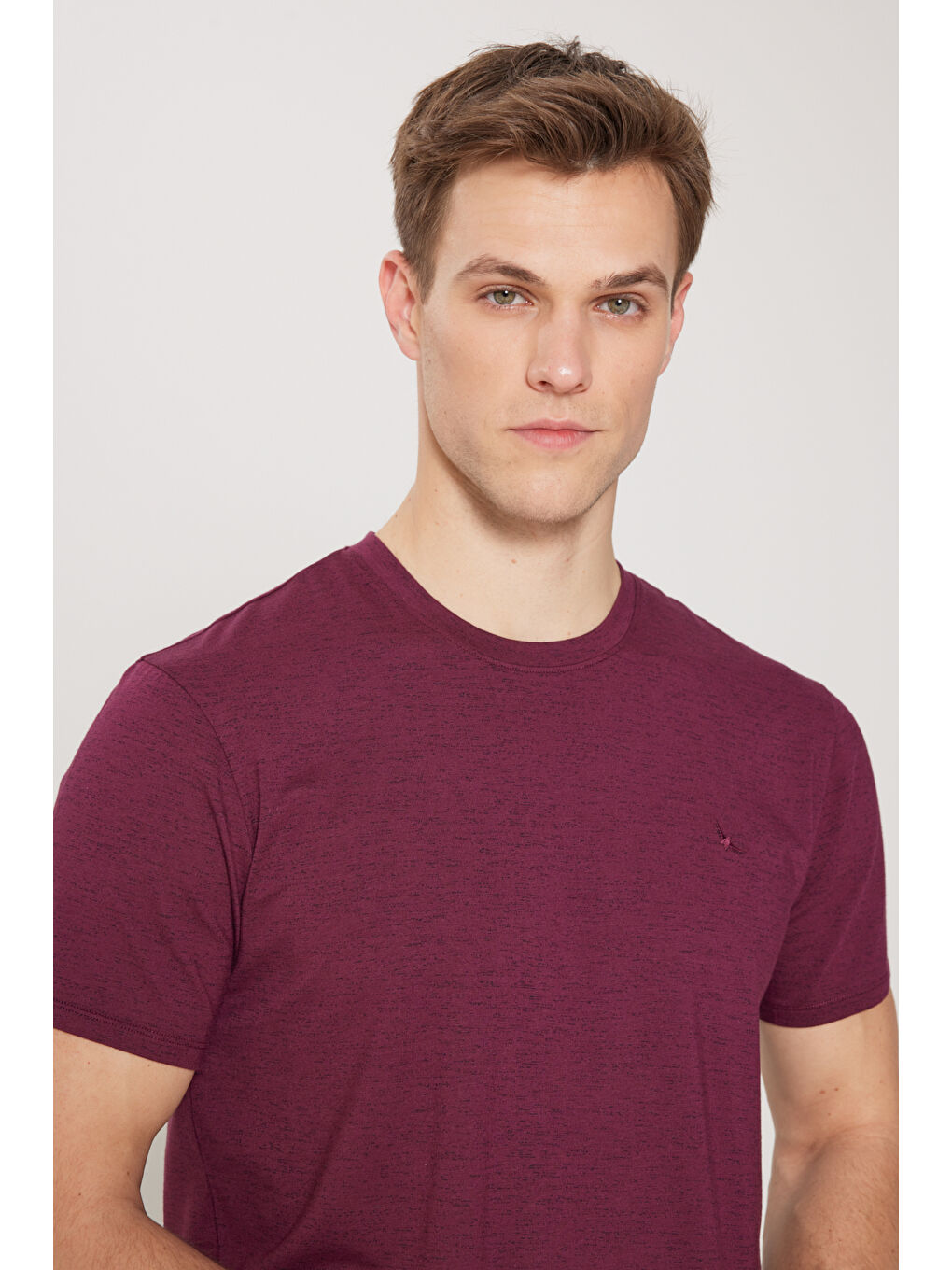 Erkek Bordo Slim Fit Dar Kesim Bisiklet Yaka Pamuklu Kısa Kollu Tişört-3