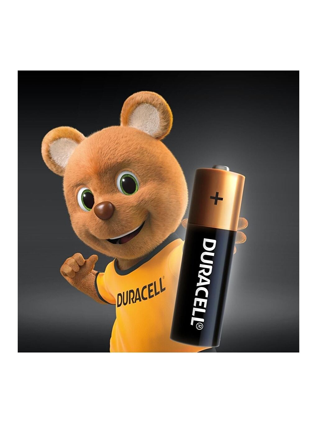 AAA Alkalin İnce Kalem Pil   AA Alkalin Kalem Pil   10 lu paket   2032 4 lü Düğme Pil-1