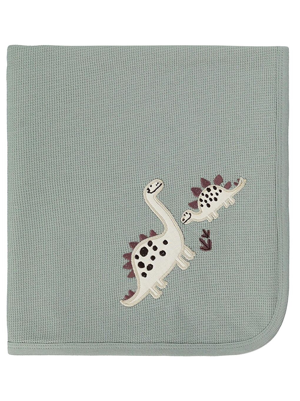 Baby Dinozor Nakışlı Battaniye - Yeşil Standart