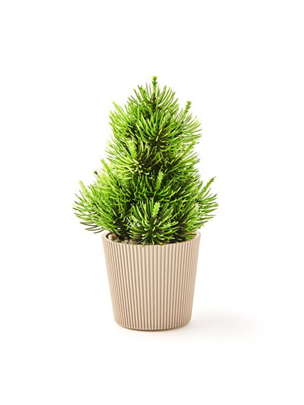 Karışık Saksılı Yapay Çam Ağacı - Renkli - 15x5 cm-1