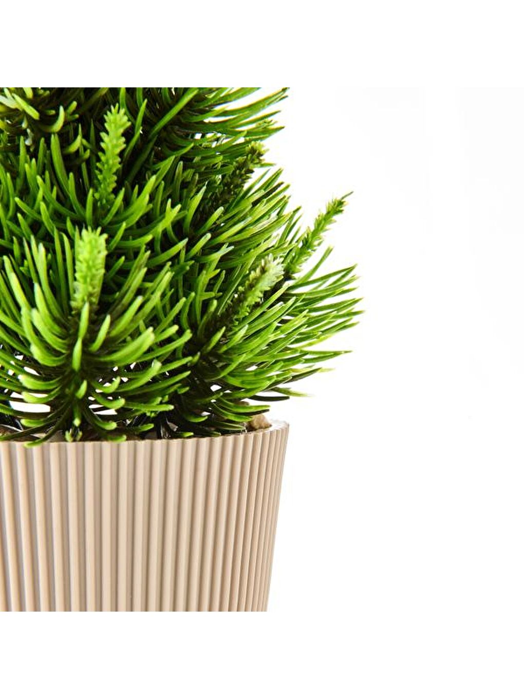 Karışık Saksılı Yapay Çam Ağacı - Renkli - 15x5 cm-3