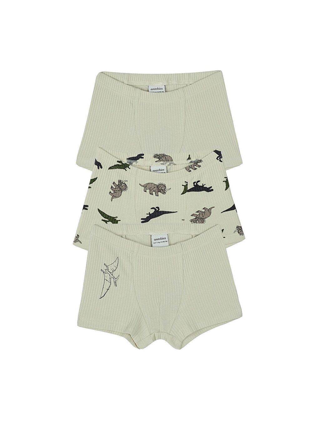 Bej Dinozorların Macerası Boxer Üçlü Set