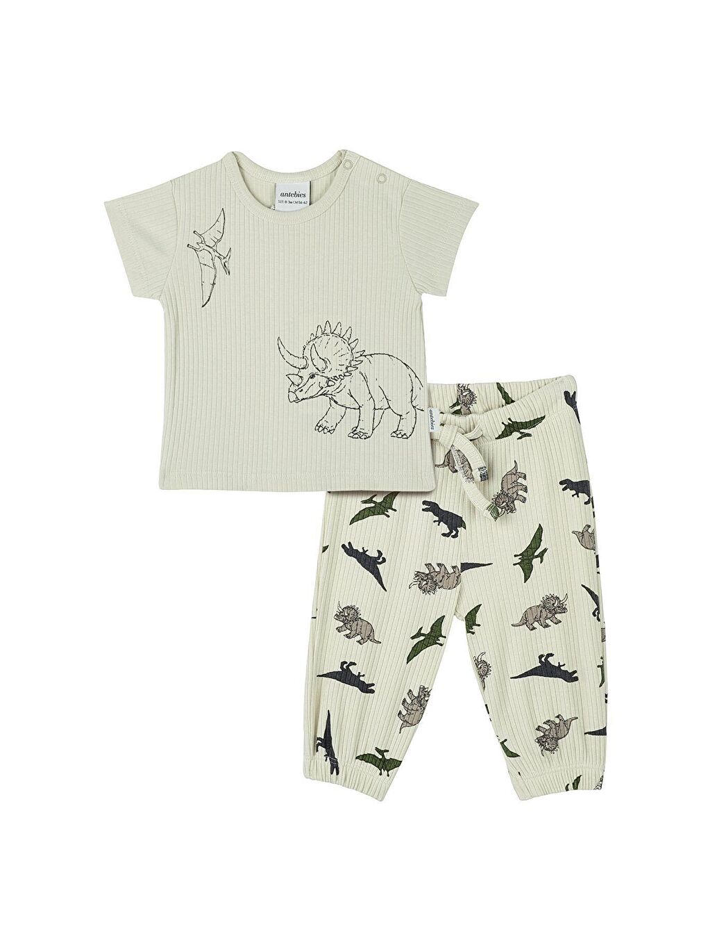 Yeşil Dinozorların Macerası Kısa Kollu Bebek Set